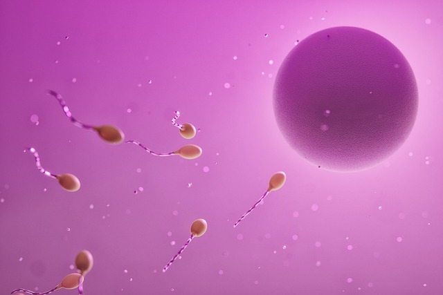 Accompagnement fertilité du couple - nutrition personnalisée