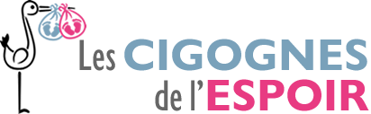 Cigognes Fertilité